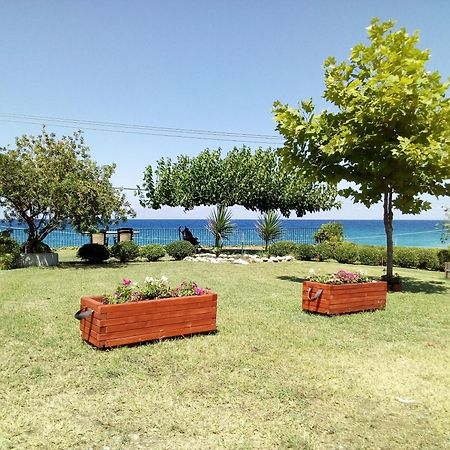 Perdikis Apartments - Paliouria Kokkino Nero Bagian luar foto